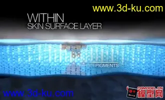 3D打印模型表皮组织的图片