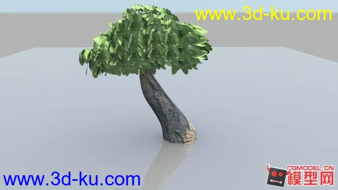 树模型的图片1