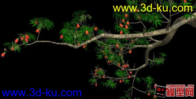 精品木棉树3D模型的图片1