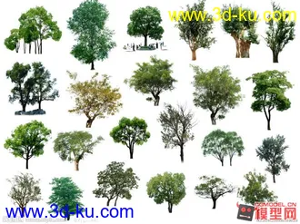 《超实用的植物模型合集》的图片
