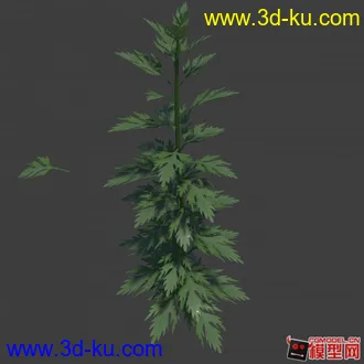 高精度艾草模型的图片