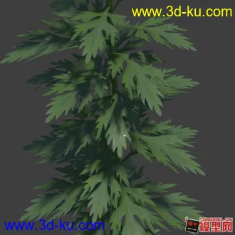 高精度艾草模型的图片