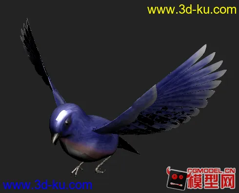 可爱的蓝翎鸟模型的图片2
