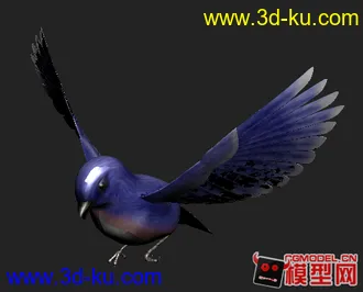 3D打印模型可爱的蓝翎鸟的图片