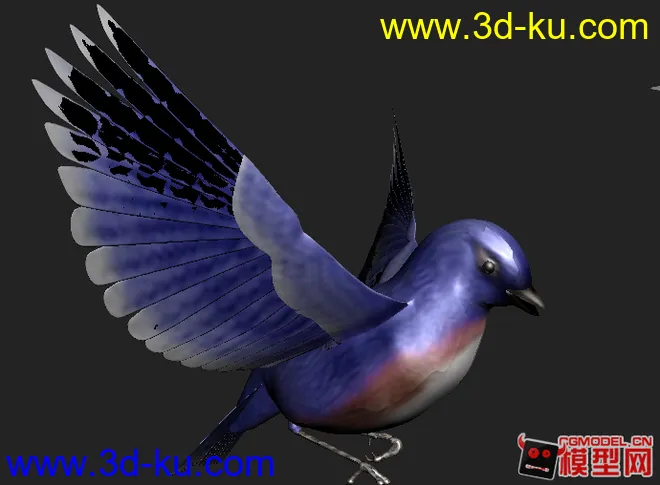 可爱的蓝翎鸟模型的图片3