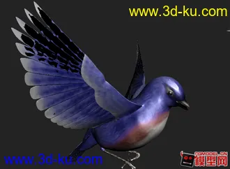 3D打印模型可爱的蓝翎鸟的图片