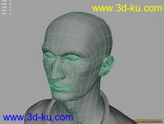 3D打印模型老外白模的图片