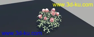 3D打印模型粉色小花 芙蓉 绿叶的图片