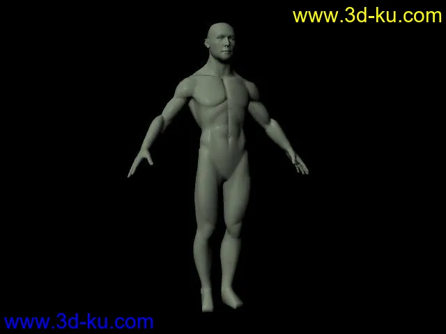 男性人体模型的图片1
