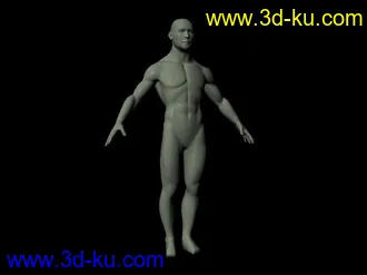 3D打印模型男性人体的图片