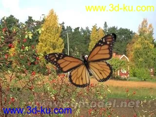 3D打印模型蝴蝶的图片