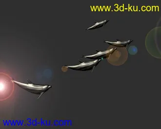 海豚跳耀動畫模型的图片
