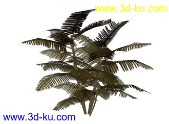 植物模型maya文件的图片