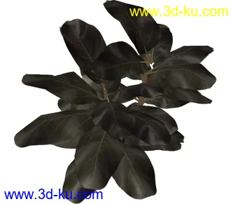 植物模型maya文件的图片