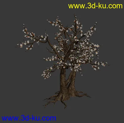 3DMAX 桃花树（桃花岛桃花林桃花树模型下载）植物模型下载的图片2