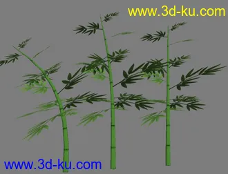3D打印模型竹子 竹叶的图片