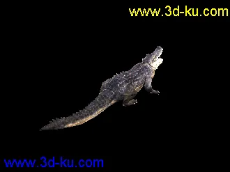 3D打印模型3d鳄鱼免费版的图片
