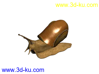 3D打印模型仿真蜗牛的图片