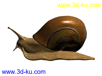 3D打印模型仿真蜗牛的图片
