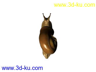 3D打印模型仿真蜗牛的图片