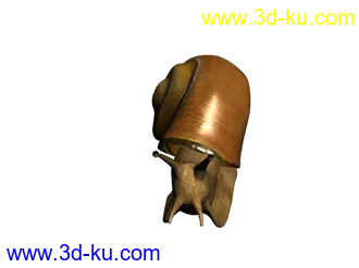 3D打印模型仿真蜗牛的图片