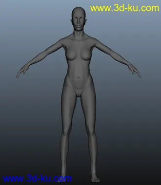 3D打印模型女人的图片