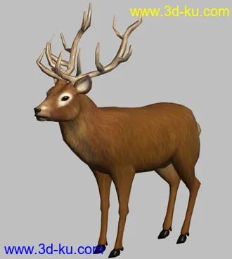 3D打印模型麋鹿 四不像的图片