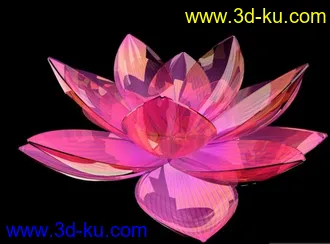 精美包装《玻璃花》模型的图片