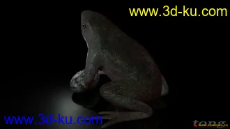 3D打印模型青蛙的图片