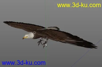 苍鹰 FBX  影视级模型的图片