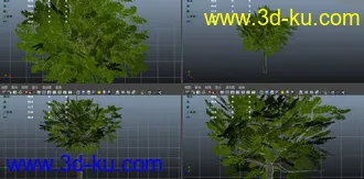 简面的树模型 需要的随便下的图片