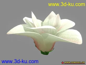 带材质的花的模型~的图片
