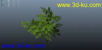 面数少的树模型~的图片