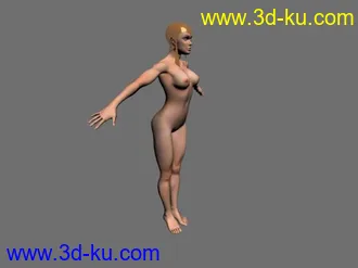 3D打印模型俄罗斯少的多边形的图片