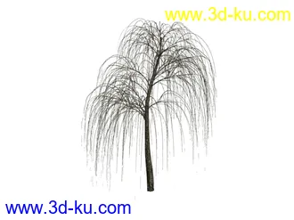 3D打印模型不同季节的柳树。。。。的图片