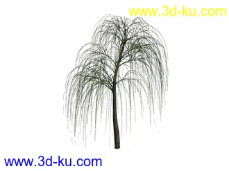 3D打印模型不同季节的柳树。。。。的图片