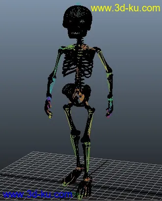 【骷髅】模型-角色动画练习的图片