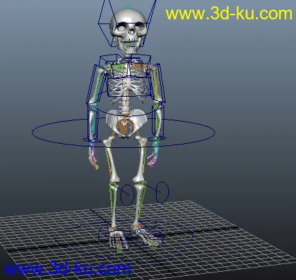 【骷髅】模型-角色动画练习的图片4