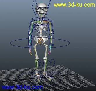 【骷髅】模型-角色动画练习的图片