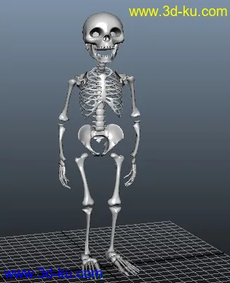 【骷髅】模型-角色动画练习的图片