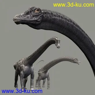 3D打印模型精模恐龙献上！望大家喜欢！的图片