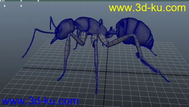 蚂蚁模型的图片1