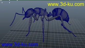 蚂蚁模型的图片