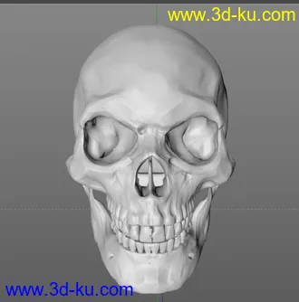 3D打印模型骷髅头  OBJ格式的图片