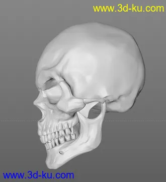 3D打印模型骷髅头  OBJ格式的图片