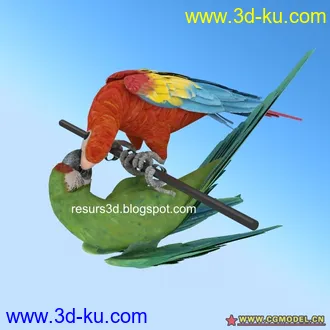 3D打印模型两只可爱的小鹦鹉哦！的图片