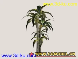 3D打印模型熱帶植物(10/29更新)的图片