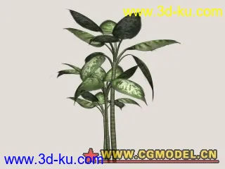 3D打印模型熱帶植物(10/29更新)的图片