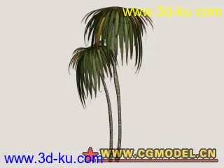 3D打印模型熱帶植物(10/29更新)的图片