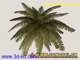 3D打印模型熱帶植物(10/29更新)的图片